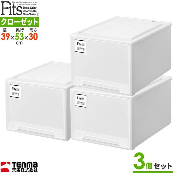 Fits 収納ケース フィッツケースクローゼット L-53 幅39×奥行53×高さ