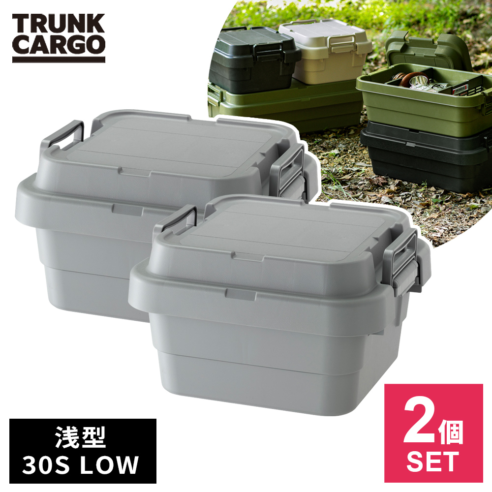 RISU（リス） アウトドア 収納ボックス 浅型 トランクカーゴ TC-30S