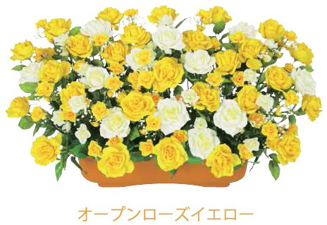 お1人様1点限り プランター Mサイズ オープンローズ系 限定製作 Www Technet 21 Org