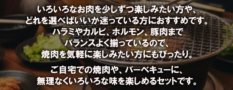 お手軽焼肉6種盛