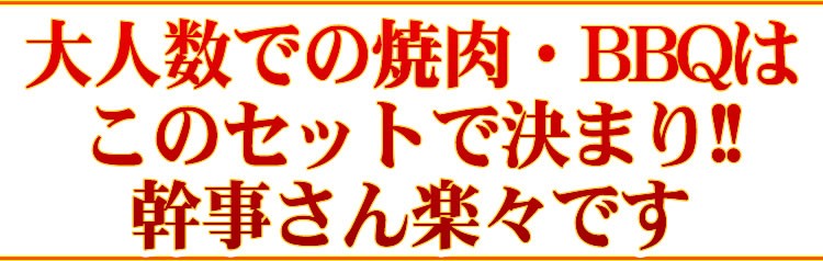 【情熱特撰】人気盛りＢＢＱセット