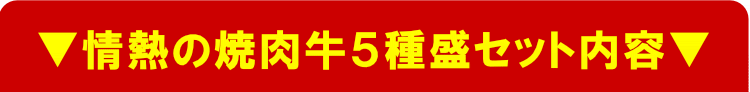 情熱の焼肉牛5種盛