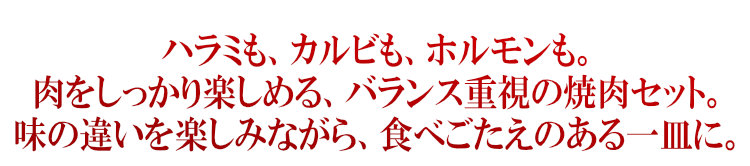 牛４種盛セット