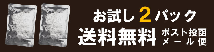 欧風牛ハラミカレー