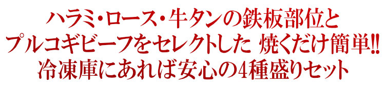焼肉鉄板セレクト