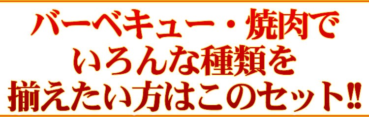 【情熱特撰】バラエティBBQセット