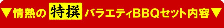 【情熱特撰】バラエティBBQセット