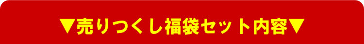 売りつくし福袋