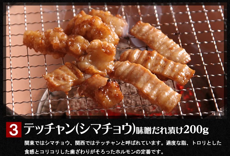 焼き肉 焼肉 BBQ に よくばりセット ジューシーカルビ テッチャン他 ハラミ バーベキュー マルチョウ 情熱ホルモン 焼き 計600g  最大96％オフ！ バーベキュー