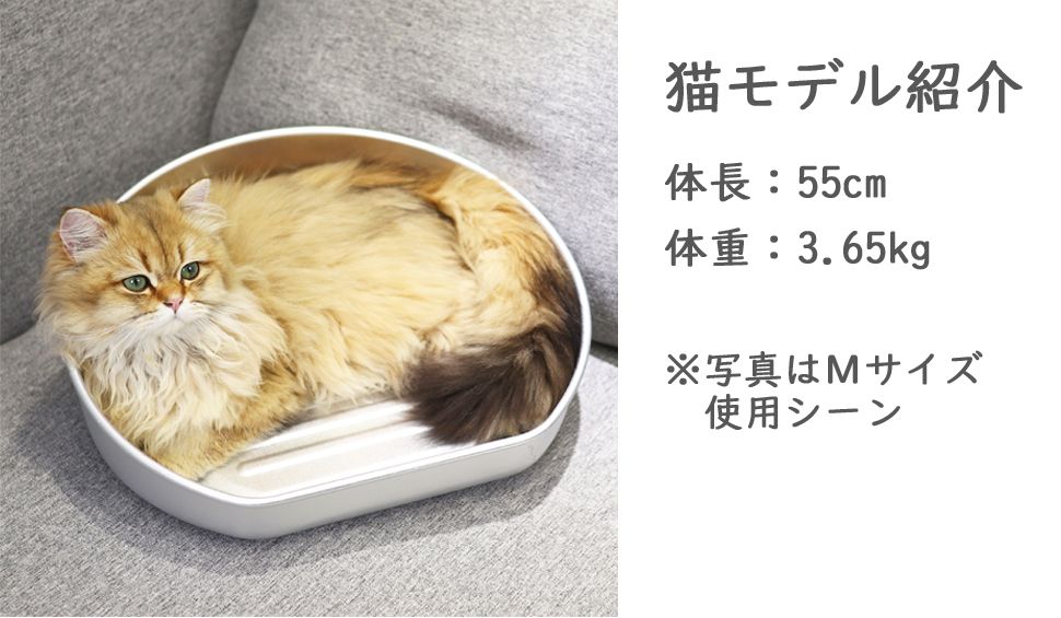 猫モデル紹介