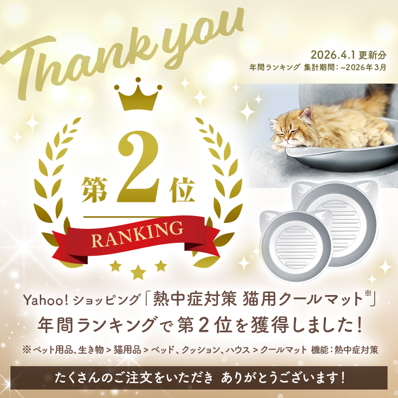 ranking1ランキング2位