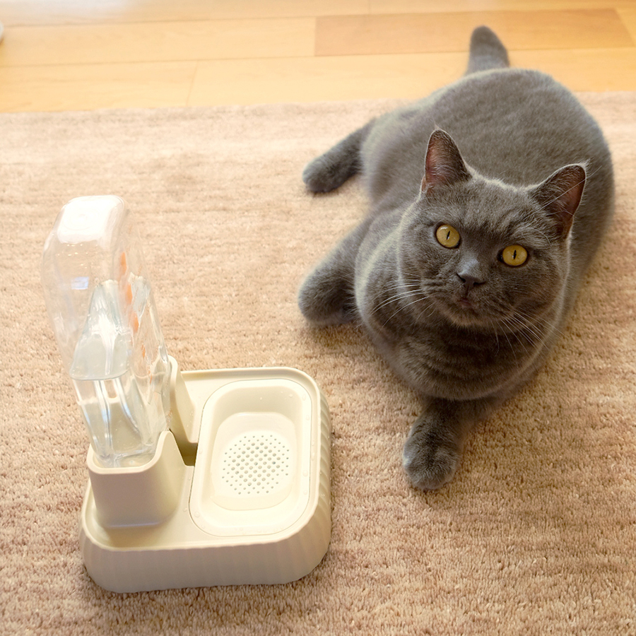 自動給水器 ペット 犬 猫 電気不要 電源不要 給水器 550ml 水飲み