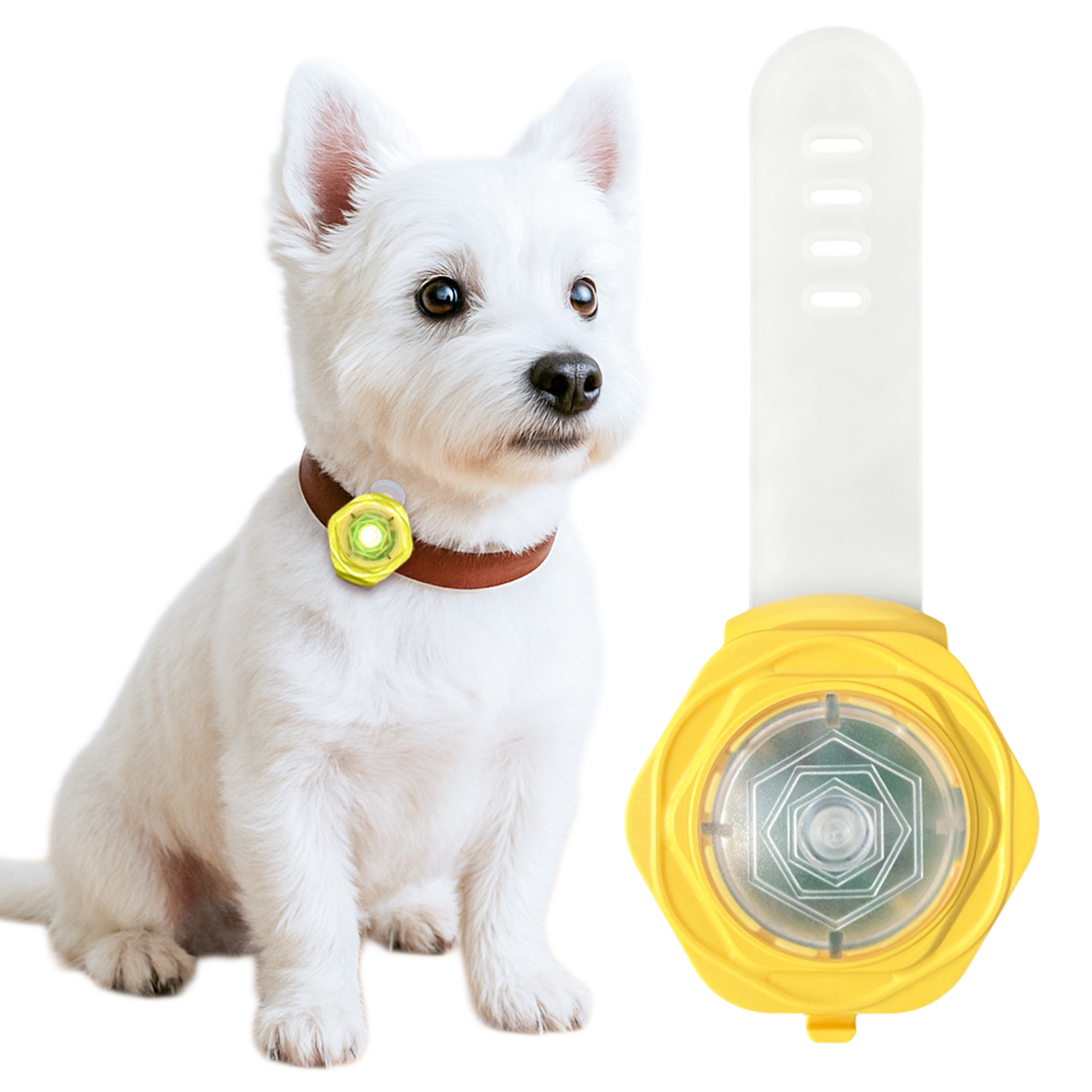ペット ライト LED 充電式 犬 首輪 散歩 安全ライト セーフティライト