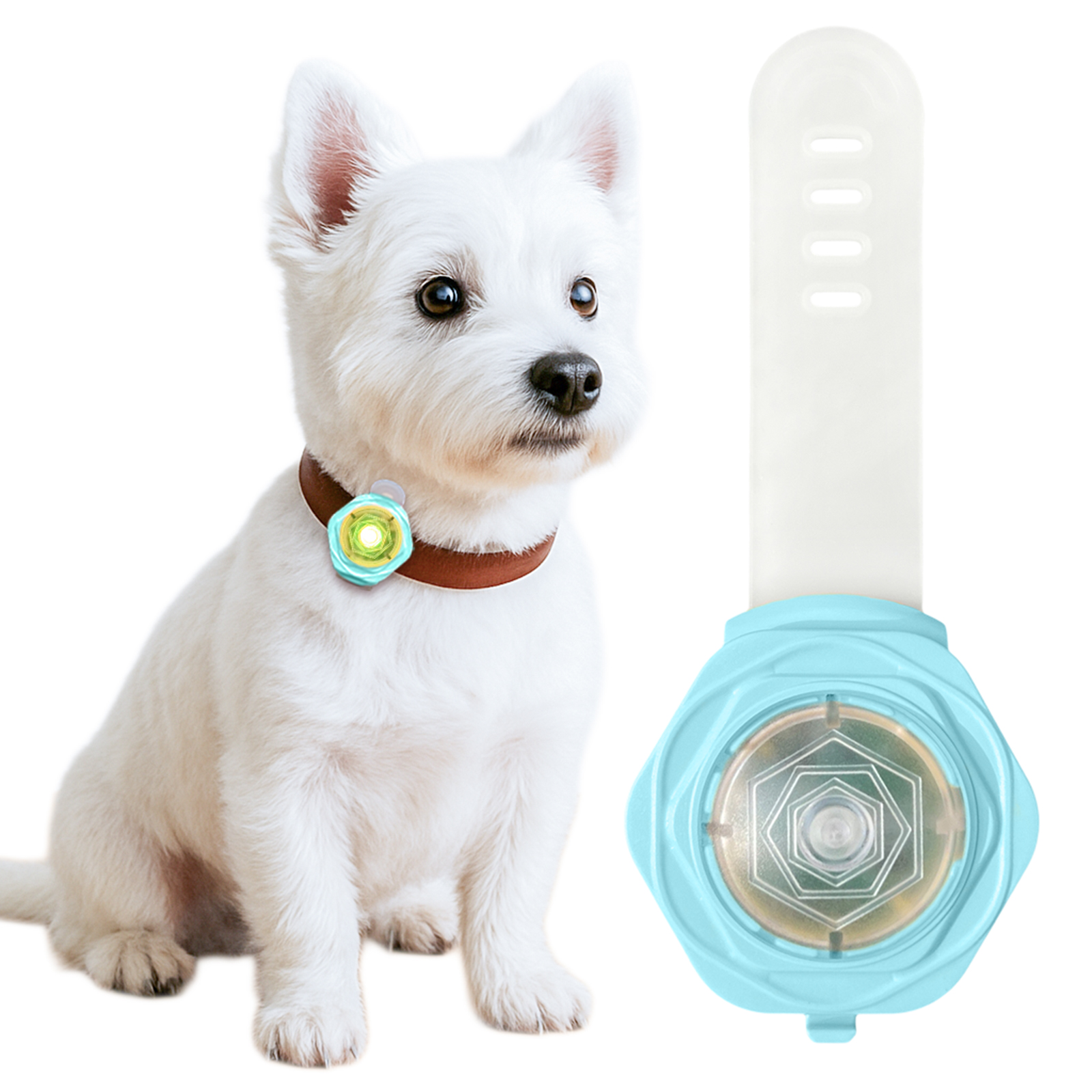 ペット ライト LED 充電式 犬 首輪 散歩 安全ライト セーフティライト