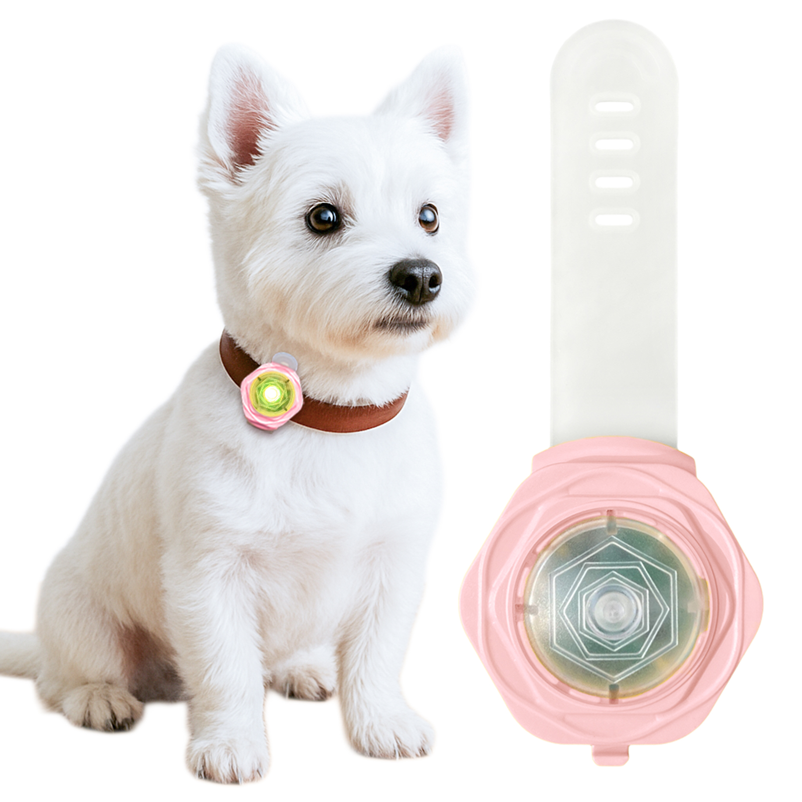 ペット ライト LED 充電式 犬 首輪 散歩 安全ライト セーフティライト
