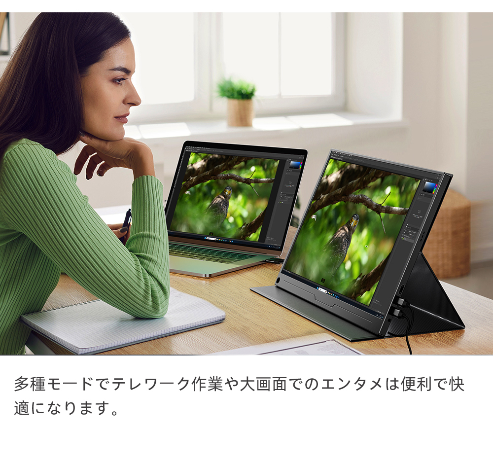16インチ WQXGA 2.5K モバイルモニター モバイルディスプレイ