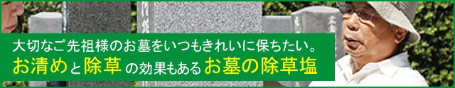 大切なご先祖様のお墓