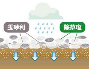 雨が降るたびに効果を発揮