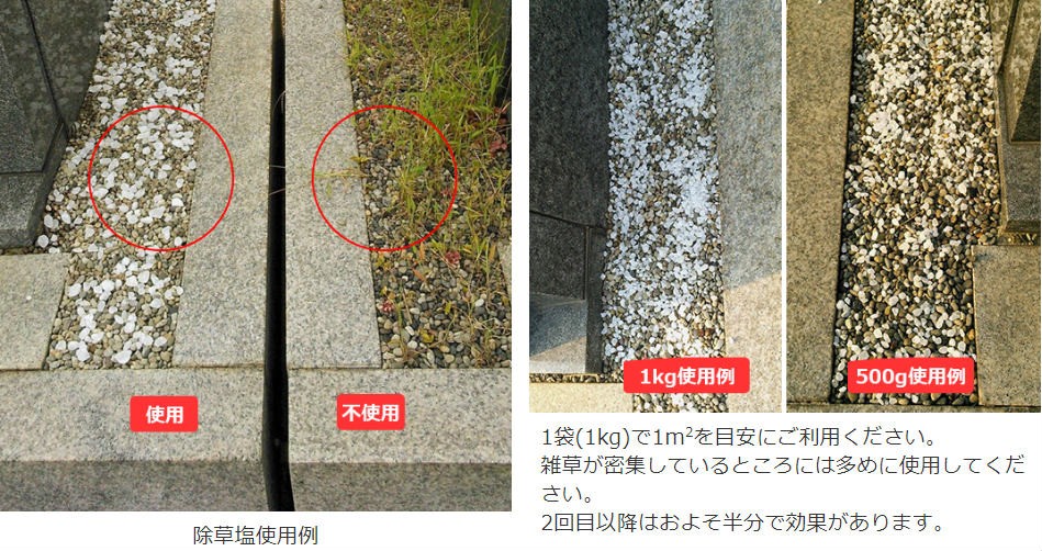 除草塩使用例