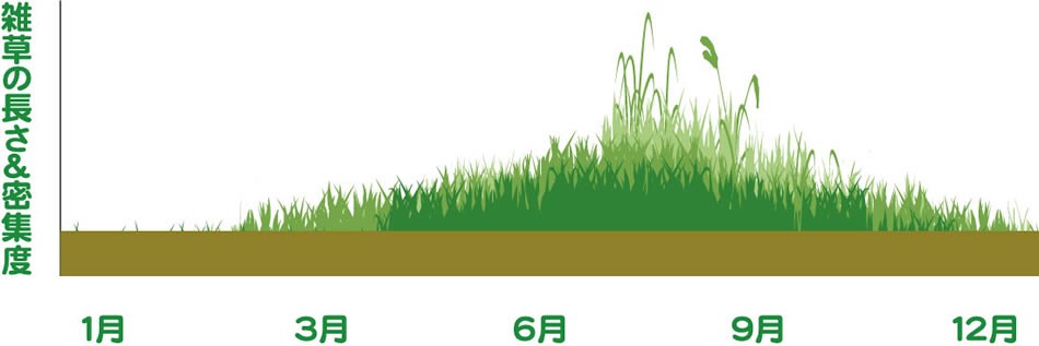 主な雑草の年間サイクル