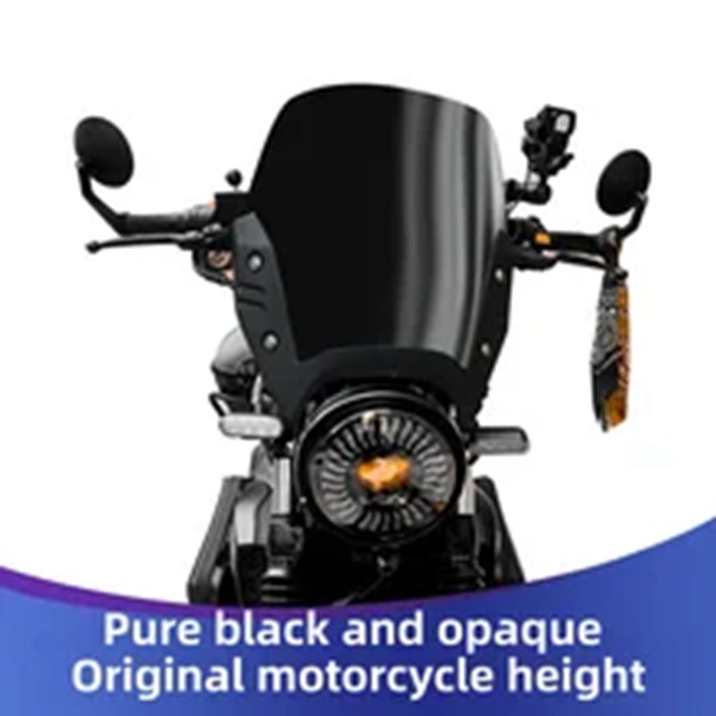 並行輸入品 フォーハオジュエ TR300 ツーリングエディション ウインドシールド バイク造