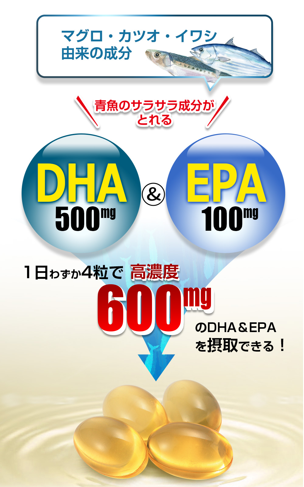 マグロ、カツオ、イワシ由来魚油高濃度600mg