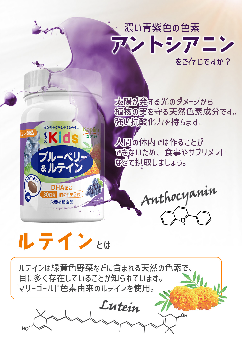 コンセプト こどもの成長 健康に育ってほしい