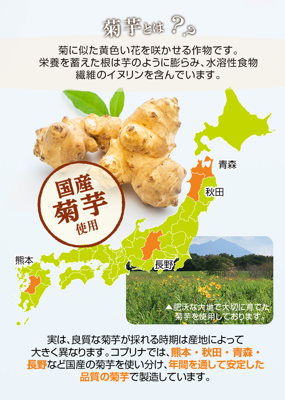 Koplina（コプリナ） ＼35％OFF／国産菊芋の粒 90粒 3袋90日分 (飲める