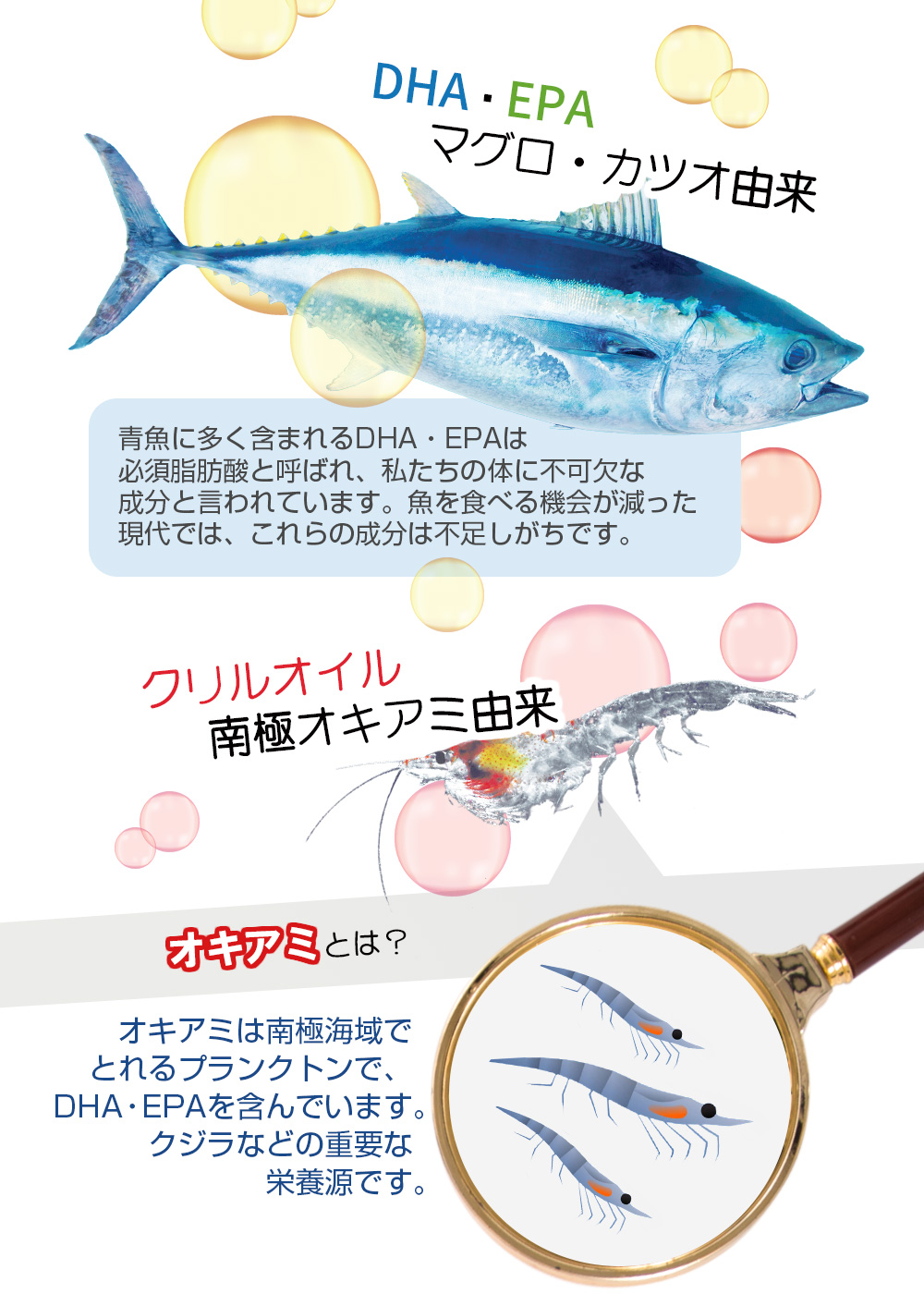 1粒に凝縮/3つの栄養素/DHA/EPA/クリルオイル/マグロ10切れ相当