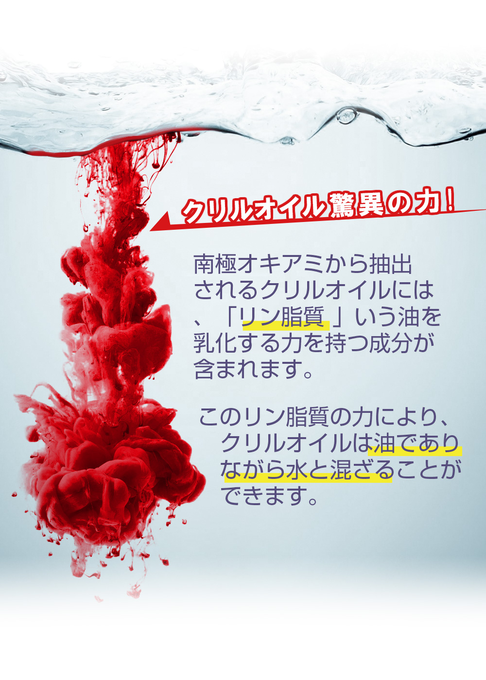 マグロ/カツオ/魚油/さらさら/魚不足解消/