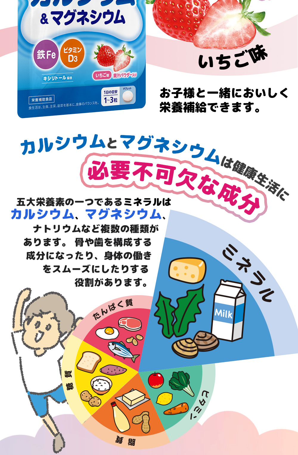 カルシウムとマグネシウムは健康生活に必要不可欠な成分/骨や歯を構成する成