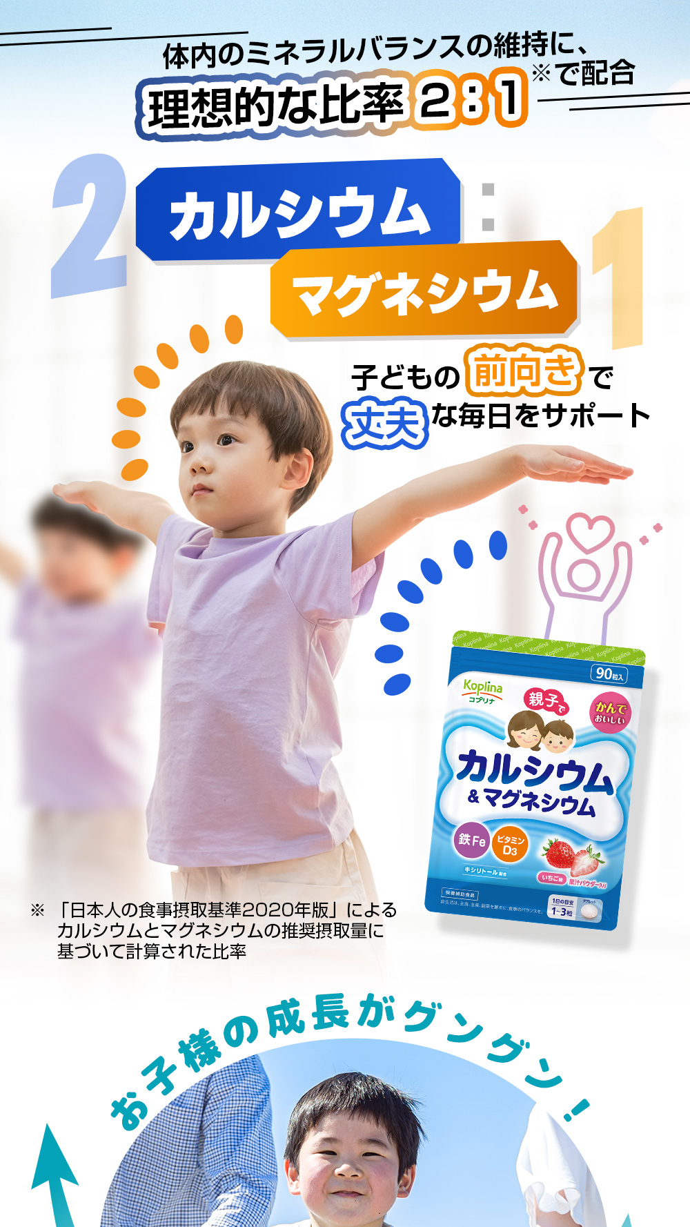 体内のミネラルバランスの維持に/理想的な比率/カルシウム/マグネシウム/2対1