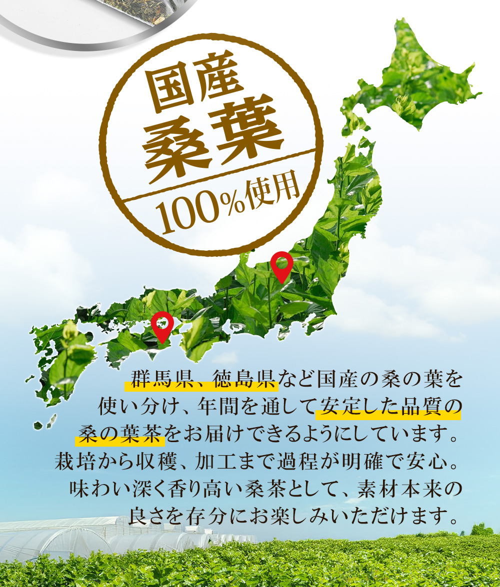 国産桑の葉100%使用/群馬県/徳島県/安定した品質/素材本来の良さ