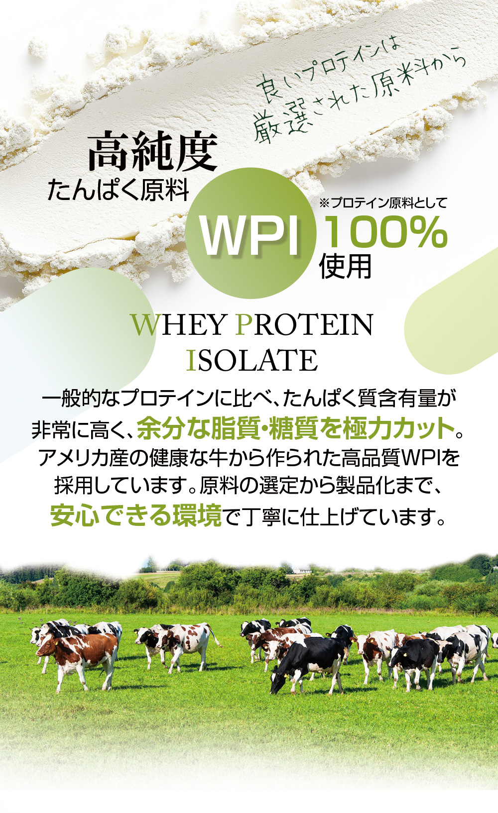 高純度たんぱく/WPI/WheyProteinIsolated/ホエイプロテインアイソレート/アメリカの健康の牛/余分の脂質・糖質をカット/安心な原料