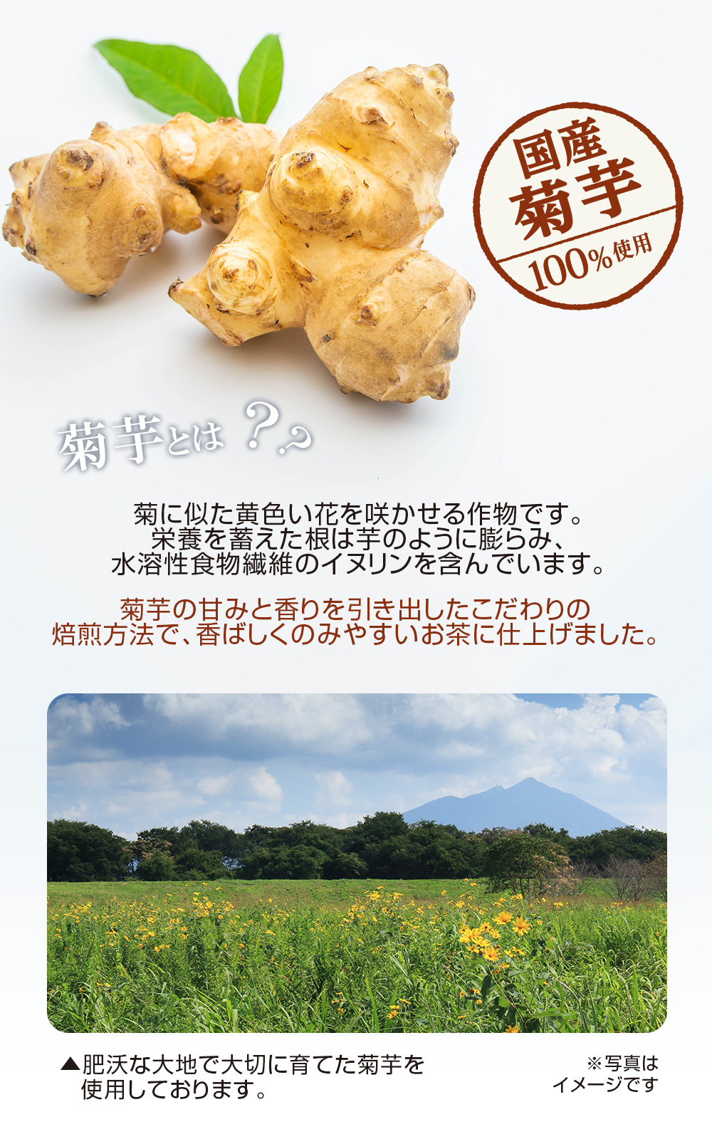 皮付きのままじっくり焙煎/美容と健康/国産菊芋100%使用