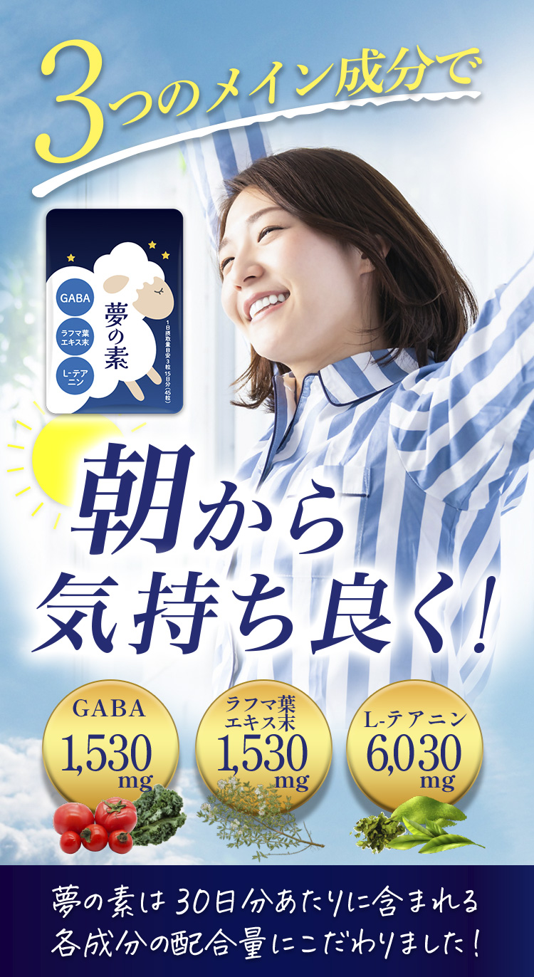 3袋セット 夢の素 解消 寝不足 睡眠 不眠 スッキリ 快眠 GABA ラフマ