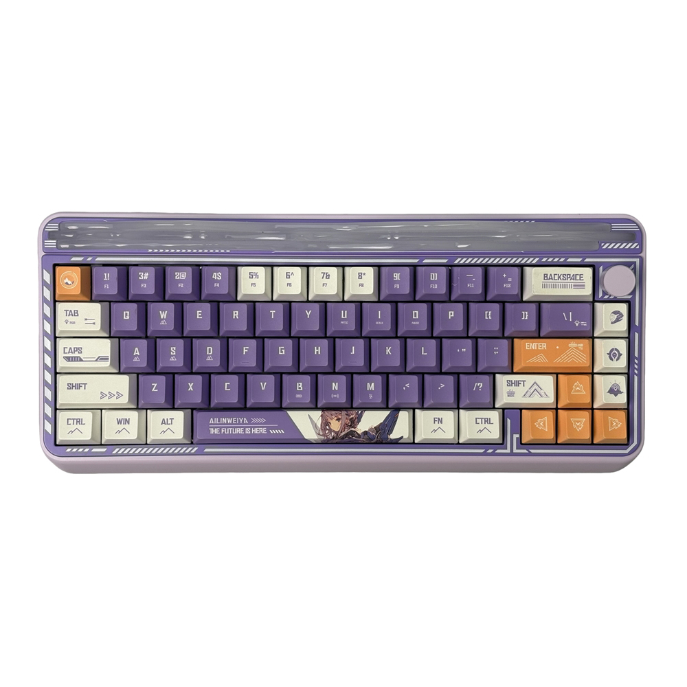 AULA Hi65JP メカニカルキーボード 有線/無線対応 RGBバックライト RGBメカニカルキーボード コンパクト