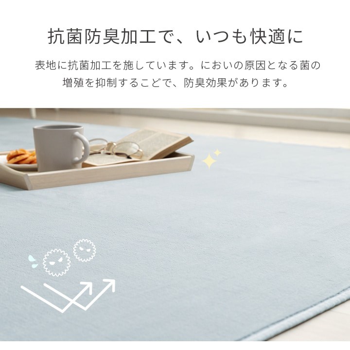 ラグ カーペット 200×300cm 4畳 4帖 大判 大きい 長方形 洗える 抗菌防臭 滑り止め付き 薄手 おしゃれ 無地 床暖房ホットカーペット対応 フランネル ピオニー2_5