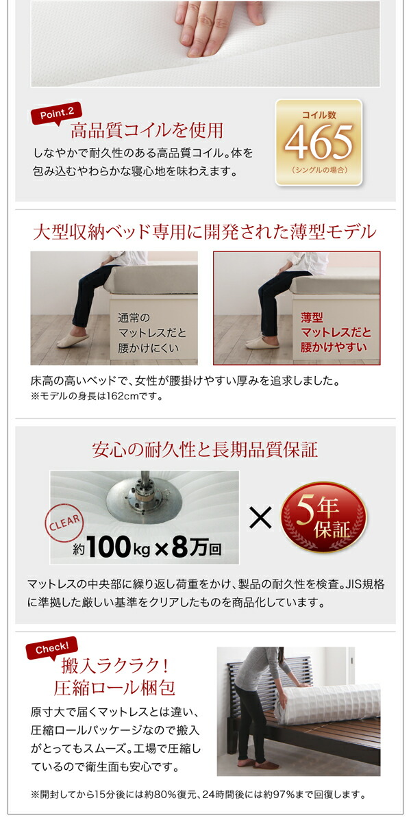 【値下げ】 ベッド 収納付きベッド 収納 収納付 跳ね上げベッド 深型 連結 薄型スタンダードポケットコイルマットレス付 縦開 クイーン(SS×2) 深さレギュラー 【2702903861】(98832円)