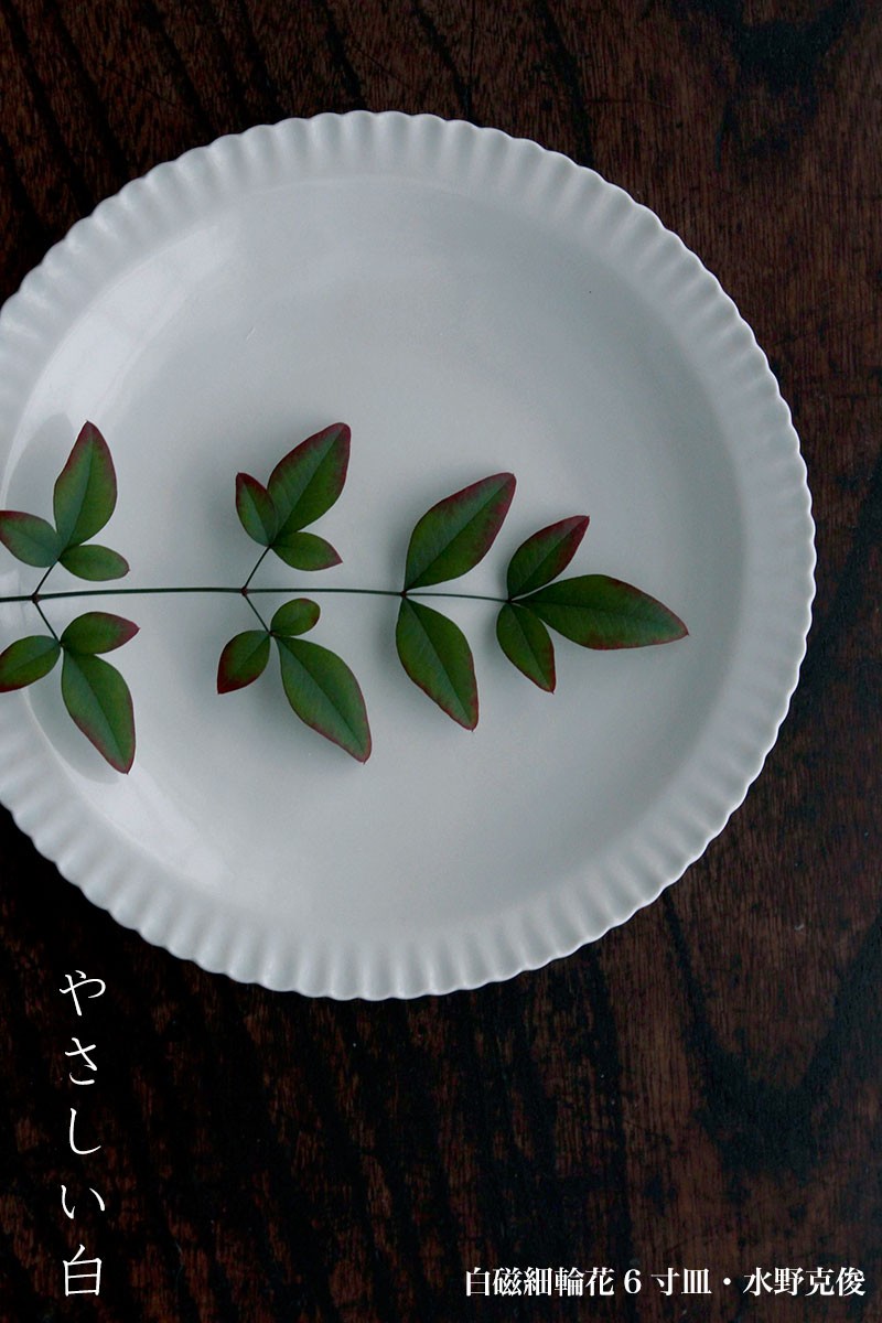 白磁：白磁細輪花6寸皿・水野克俊《中皿・19.2cm》 : 和食器の愉しみ