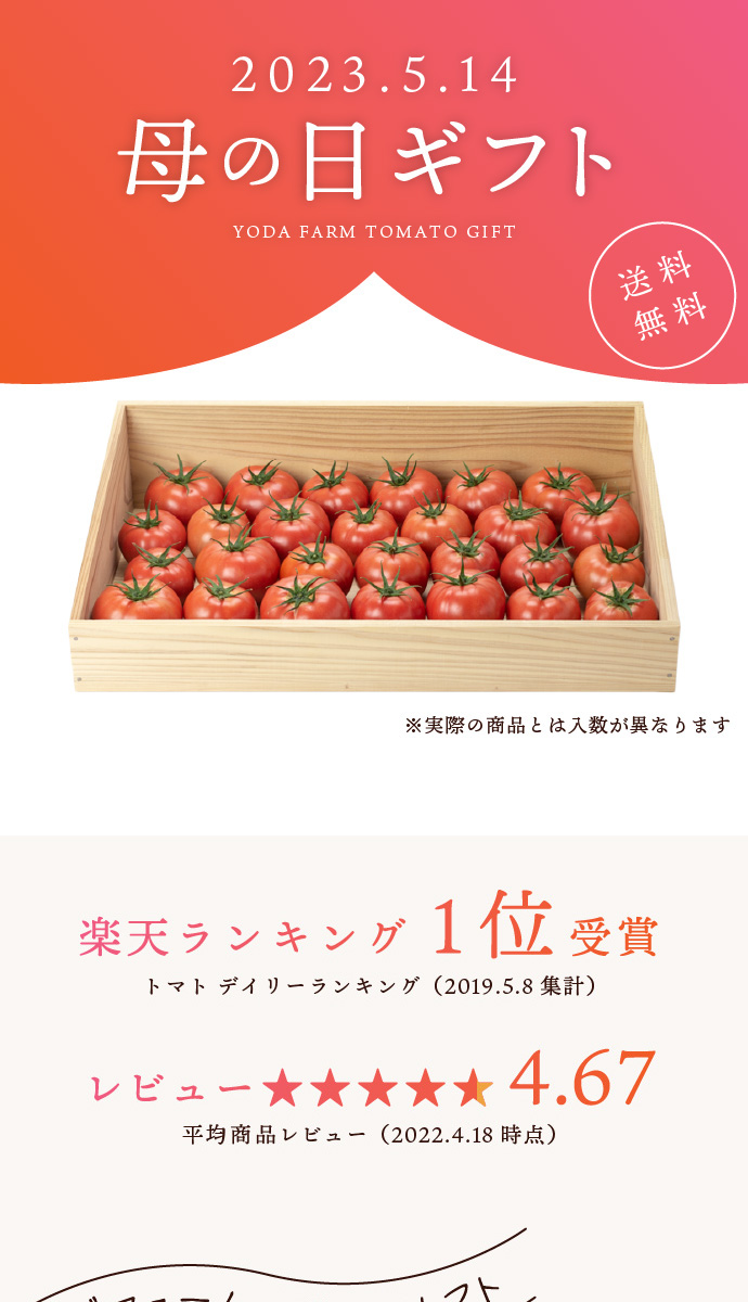 ふるさと納税 通年糖度8以上のミニトマト「アマメイド」1kg 大阪府岸和田市