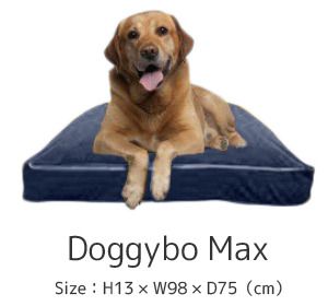 Dogibo Max