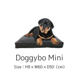 Dogibo Mini