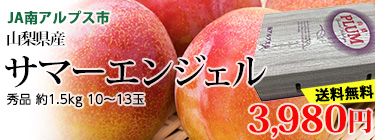 ޡ󥸥