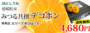 ̪��ǥ��ݥ�