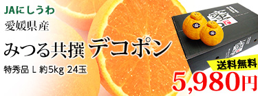 ̪��ǥ��ݥ�