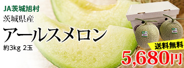 륹