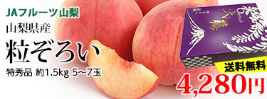 γ