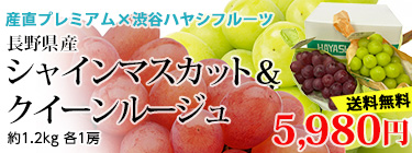 㥤ޥåȡ롼