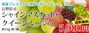 ���㥤��ޥ����åȡ���������롼����
